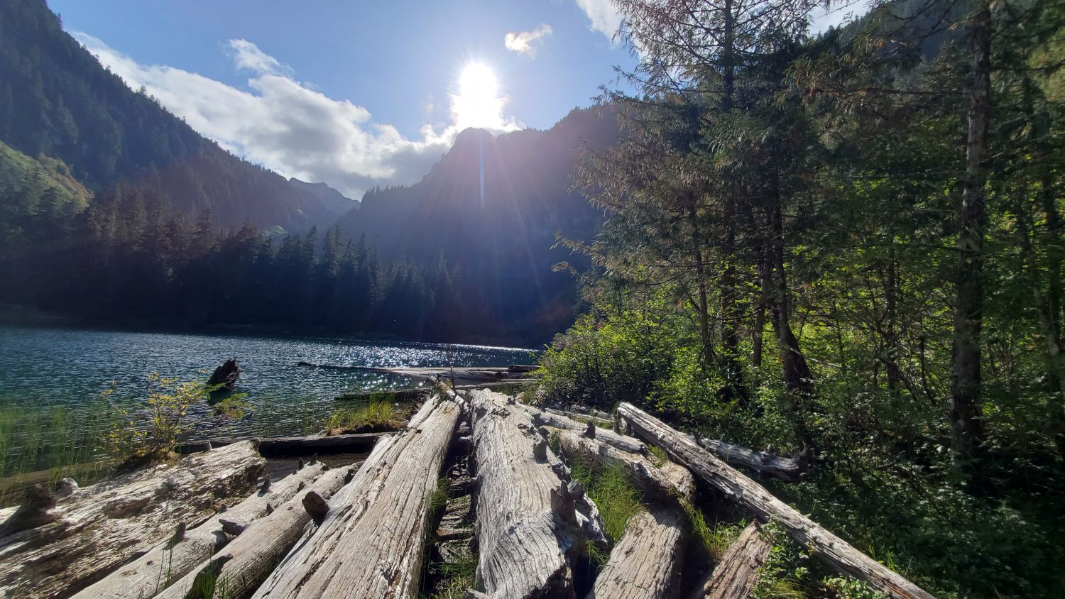 Mount Rainier NP 